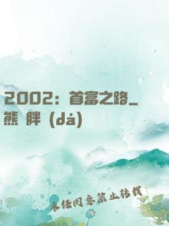2002：首富之路