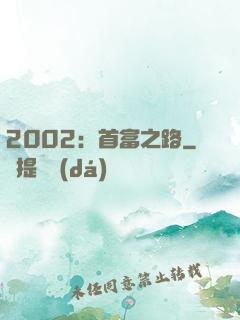 2002：首富之路