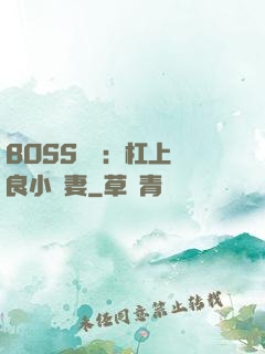 BOSS來襲：杠上無良小嬌妻
