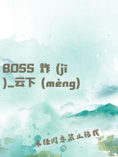BOSS轟炸機(jī)