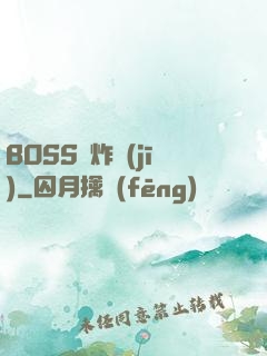 BOSS轟炸機(jī)