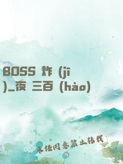 BOSS轟炸機(jī)