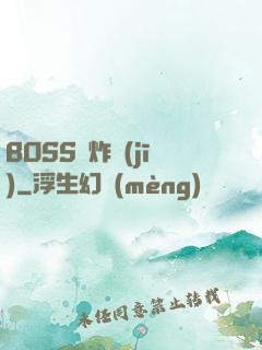 BOSS轟炸機(jī)