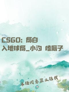 CSGO:開局白銀誤入地球局