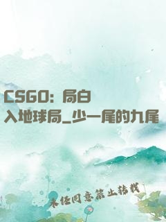 CSGO:開局白銀誤入地球局