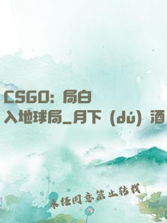CSGO:開局白銀誤入地球局