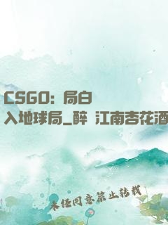 CSGO:開局白銀誤入地球局