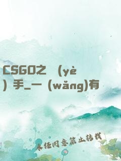 CSGO之職業(yè)選手