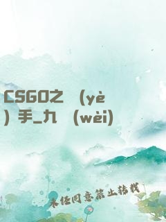 CSGO之職業(yè)選手