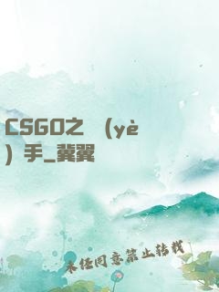 CSGO之職業(yè)選手