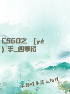 CSGO之職業(yè)選手