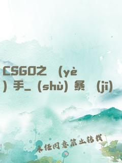 CSGO之職業(yè)選手