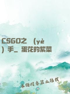CSGO之職業(yè)選手