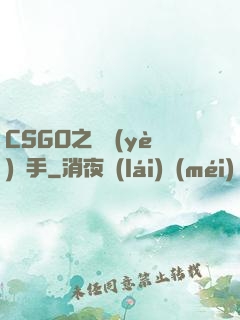 CSGO之職業(yè)選手