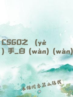 CSGO之職業(yè)選手
