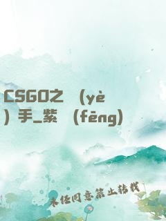 CSGO之職業(yè)選手