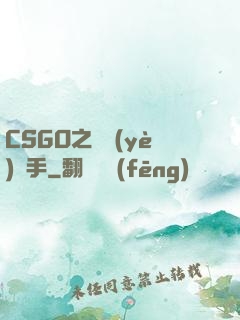 CSGO之職業(yè)選手