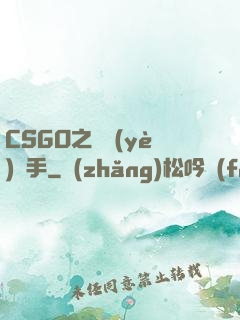 CSGO之職業(yè)選手