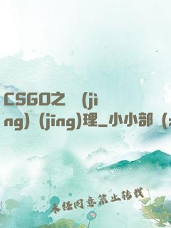 CSGO之電競(jìng)經(jīng)理