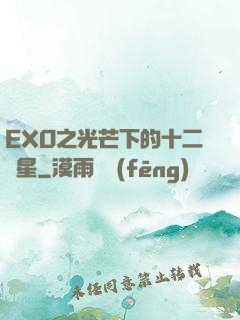 EXO之光芒下的十二顆星