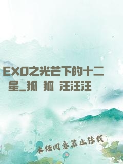 EXO之光芒下的十二顆星