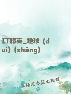 IT精英