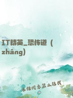 IT精英