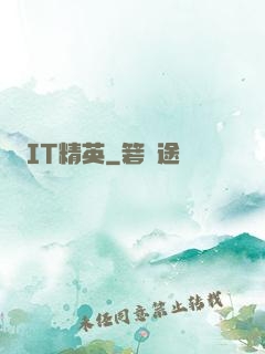 IT精英
