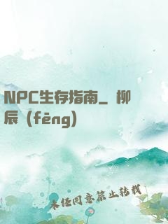 NPC生存指南