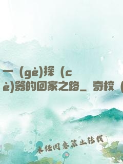 一個(gè)探測(cè)器的回家之路