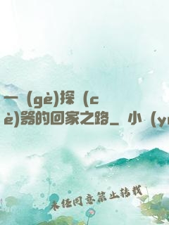 一個(gè)探測(cè)器的回家之路