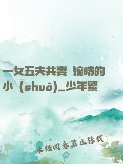 一女五夫共妻蘇婉晴的小說(shuō)