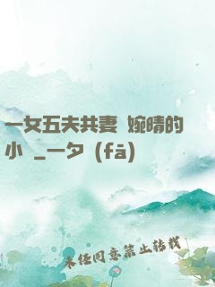 一女五夫共妻蘇婉晴的小說