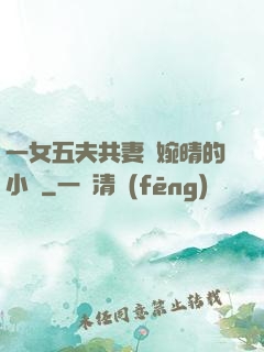 一女五夫共妻蘇婉晴的小說