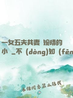 一女五夫共妻蘇婉晴的小說