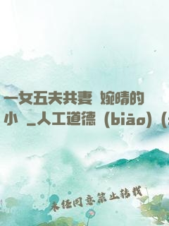一女五夫共妻蘇婉晴的小說