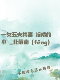 一女五夫共妻蘇婉晴的小說