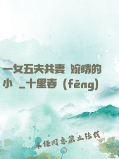 一女五夫共妻蘇婉晴的小說