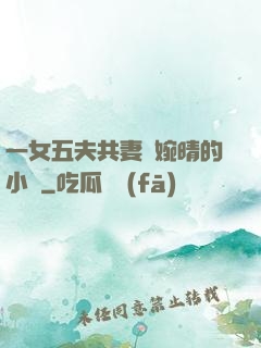一女五夫共妻蘇婉晴的小說