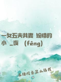 一女五夫共妻蘇婉晴的小說