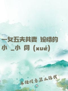 一女五夫共妻蘇婉晴的小說