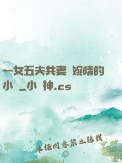 一女五夫共妻蘇婉晴的小說