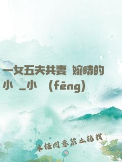 一女五夫共妻蘇婉晴的小說