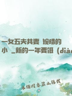 一女五夫共妻蘇婉晴的小說