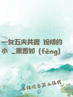一女五夫共妻蘇婉晴的小說
