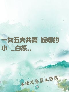 一女五夫共妻蘇婉晴的小說
