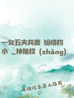 一女五夫共妻蘇婉晴的小說