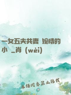 一女五夫共妻蘇婉晴的小說