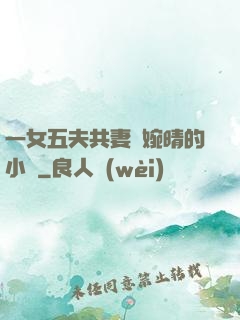 一女五夫共妻蘇婉晴的小說