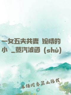 一女五夫共妻蘇婉晴的小說